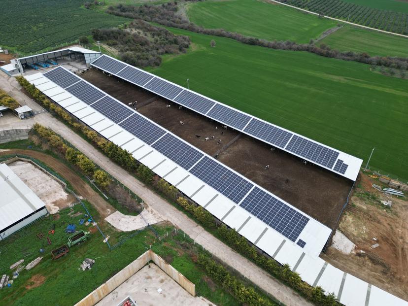 SVE Energy GmbH